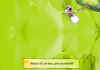 20_800.jpg (114489 byte)