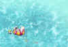 26_800.jpg (150831 byte)