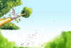 39_800.jpg (88832 byte)