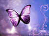 FARFALLA VIOLA.jpg (23392 byte)